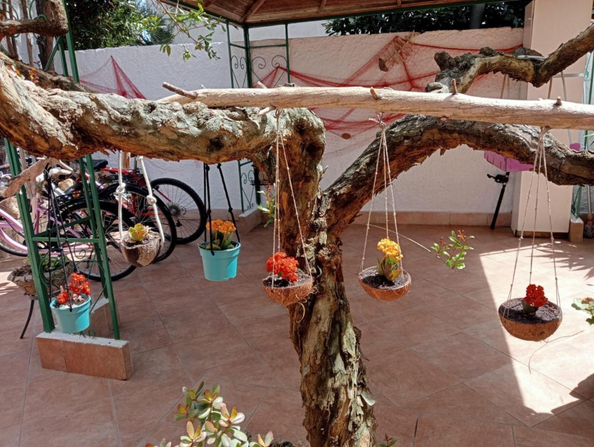 ألغيرو B&B Lety المظهر الخارجي الصورة